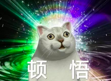 屏幕快照 2020-02-19 下午4.36.01.png