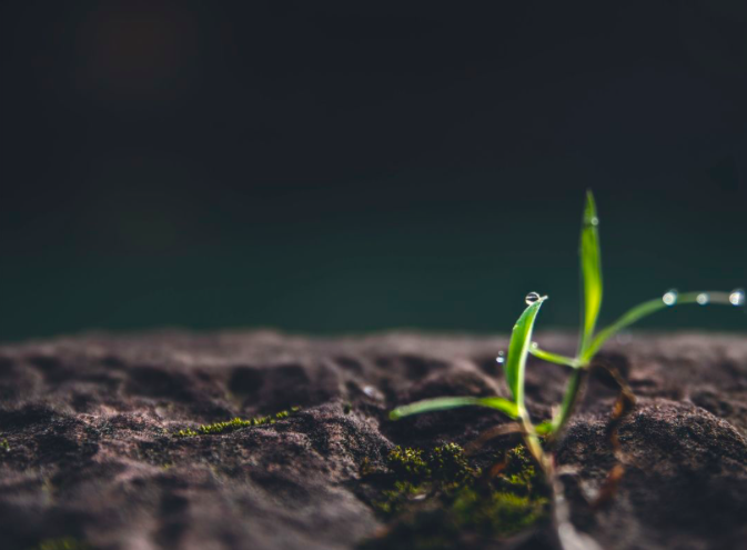 屏幕快照 2020-03-19 下午2.53.48.png