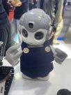2025世界机器人大会：有这些教育类、陪伴类机器人