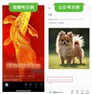 微信：用户发布AI生成合成内容需主动声明