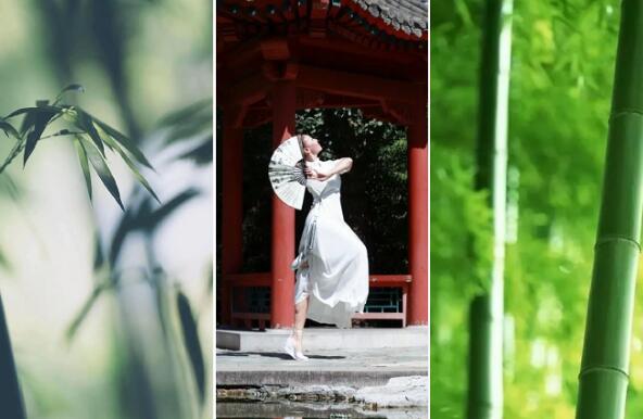 王晶原创舞蹈作品《竹上仙》课程即将上线