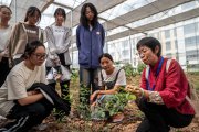 最“香”的本科专业来了！喝咖啡边上课 我国首批咖啡本科学生入学