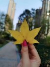 上专科后才明白，本科和专科差别有多大？你怎么看呢