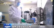 工程类博士的学位论文不再非写不可？听听专家怎么说