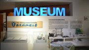 低分也能上名校？中外合办是馅饼还是陷阱？