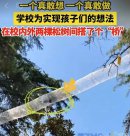 给松鼠架一座天桥 儿童友好学校重在儿童视角