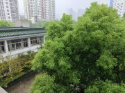 双非学生该不该考研？