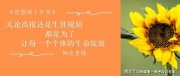 生涯规划视角下如何进行志愿填报?