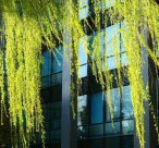 专科生也能考研究生！如何突破限制、顺利迈入更高学