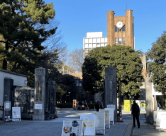看起来很美的日本留学，真申请后，才发现想得天真了