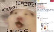 “家里没钱供你！”女大学生因考研与父母决裂，网友