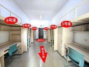 重庆一高校要求新生自选宿舍，低价宿舍秒光，学生只