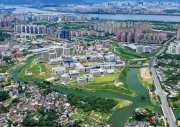 中国不只需要“985”大学