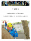 教孩子“掏鸟窝掏鸟蛋”？中科院华南植物园回应：已
