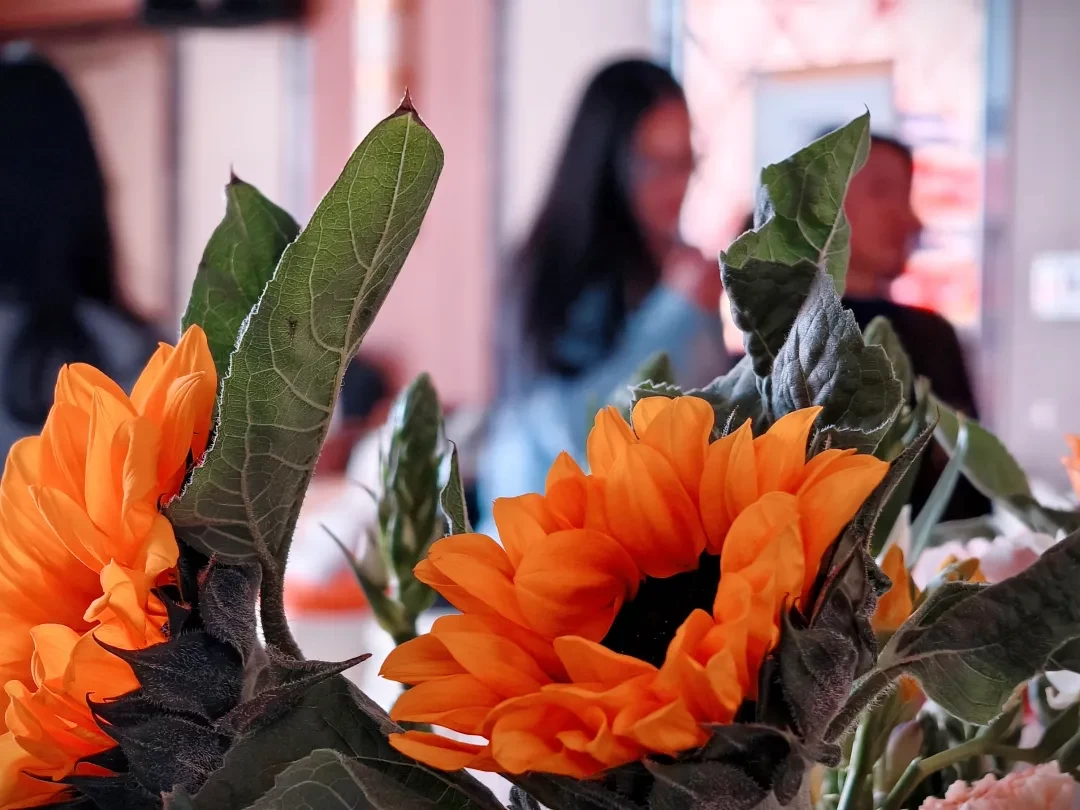 1785130268708465.jpg