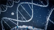 生物履历同质化如何突围？先理知学REAL PhD定制规划助