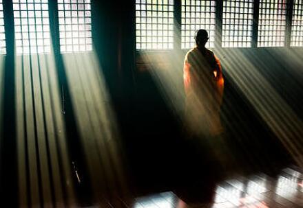 当学而思做了一只“卡皮巴拉”……